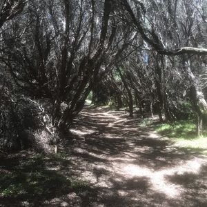 Meet your Posher, Michaela